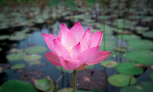 宝宝晚上一有尿就醒怎么办、宝宝晚上一有尿就醒怎么办 -宝宝夜里尿尿就醒 尿不湿网